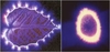 킬리안(Kirlian) 사진과 생체전기에너지