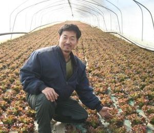 경기도 화성시 동탄면 상추하우스 김재경씨