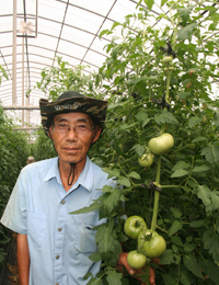 친환경인증 8년, 베테랑 토마토 농가 남상원氏