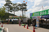 추억과 고향의 먹거리! “홍천찰옥수수 축제”