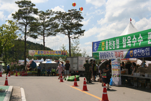 추억과 고향의 먹거리! “홍천찰옥수수 축제”