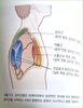 라운드숄더 겨드랑이 관리 왜 중요한가?