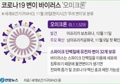 오미크론 변이 바이러스 코로나종식 신호-- 크리스마스 선물이라고요?