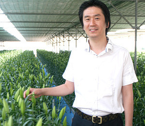 백합 재배의 패러다임을 바꾼다.