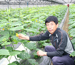 경기도 오산시 오이농사 최기화