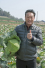 “이제 월동 양배추 대표는 윈스톰이죠!”