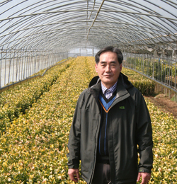 헤데라 전도사, 許槿 한국헤데라 전무