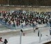 돌아온 계곡의 여왕, 2012 화천산천어축제