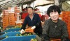 공주시 정안면 유림농원 유기택氏(공주시 토마토연구회 회장)