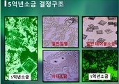 암과 칼슘 2 