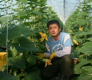 경남 진주시 금산면 애호박 구은진 농장