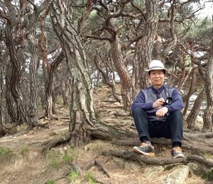 “한국의 소나무가 세상에서 가장 아름다운 나무입니다!”