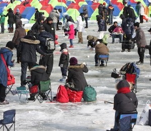 “송어와 한판승부” - '평창 송어축제' 얼음낚시 인파 몰려
