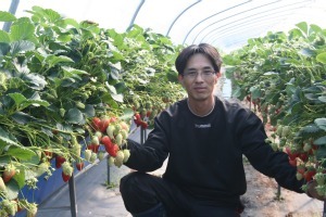 경남 산청군 신안면 딸기농가 정경훈씨