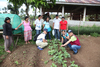 (재)국제농업개발원 이병화 연구소장, 필리핀 농가 방문ㆍ현장지도
