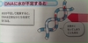 생체전기 약화와 수분부족은 DNA를 변화시킨다