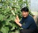 경남 진주시 초전동 애호박농가 박순권씨