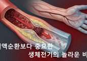 생명은 사랑으로 추는 '전자의 춤'