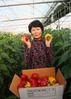건강한 토양을 바탕으로 명품 파프리카를 생산하는 허숙희씨