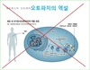 오토파지의 역설