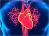 심장마비와 맥박과 혈압