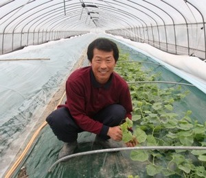 경북 성주군 벽진면 참외농가 우진환씨