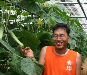 경기도 평택시 진위면 오이농장 김형국 氏