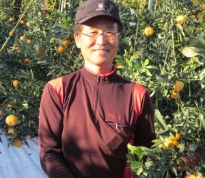 “감귤 농사도 소비자 입맛에 맞춰 ‘진화’해요”