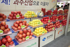 도심 속에서 만나는 달콤하고 향긋한 과일 이야기!