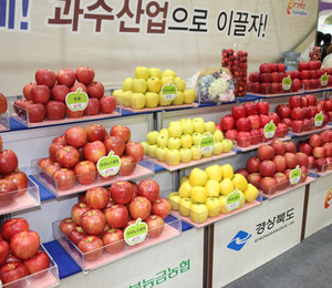 도심 속에서 만나는 달콤하고 향긋한 과일 이야기!