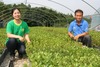 블랙쵸크베리의 전도사 환평농원 盧茱鎬 대표