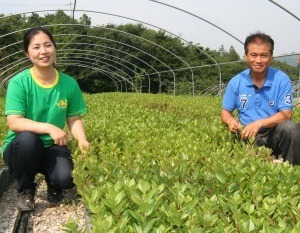 블랙쵸크베리의 전도사 환평농원 盧茱鎬 대표