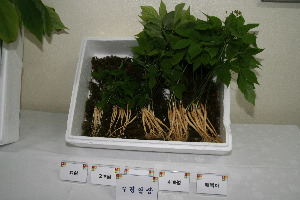 백화농원 이수복 사장