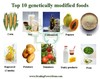 마켓에서 흔히 볼 수 있는 GMO(유전자변형식품) 10가지