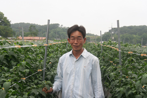 UCMT농법으로 터널재배한 고추, 감자 대성공! 충남 당진 최충묵