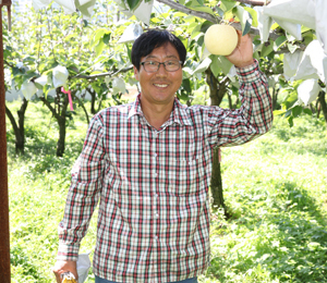 수출 배와 기능성 배 재배로 경쟁력을 키운다.