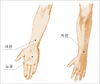 알아두면 유용한 혈자리
