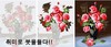 피포페인팅은 무엇? 나만의 명작을 완성하라…일반인도 화가처럼!