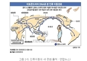 유미테라피 지구과학 2. 노아의 방주는 신의 심판이었나?