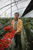 “복합환경제어시스템으로 週2일만 농장에 출근합니다!”