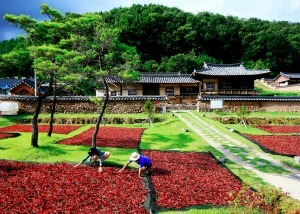 자연이 살아 숨쉬는 참 건강고장, 영양군 농특산물