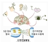 왜 얼굴에 이목구비(耳目口鼻)가 달려있을까?