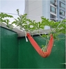 수박 - 옥상텃밭시인 220705